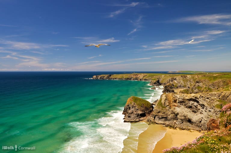   Our Top Five Wonderful Walks in Newquay  