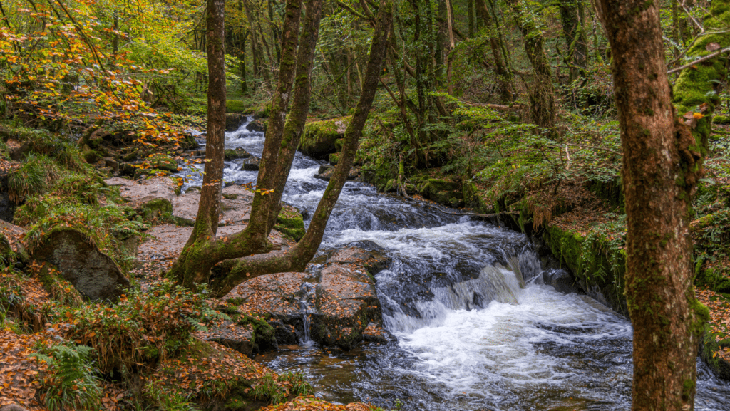 Autumn Escapes in the Heart of Cornwall